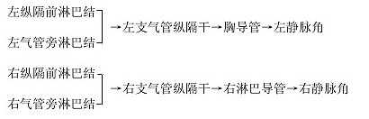 支气管纵隔干