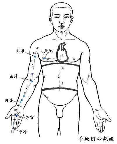 手厥阴心包经