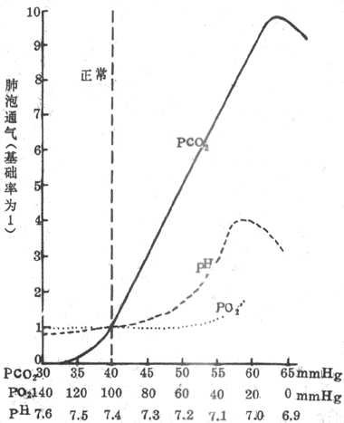 动脉血液PCO2升高、PCO2降低、pH降低对肺泡通气率的影响