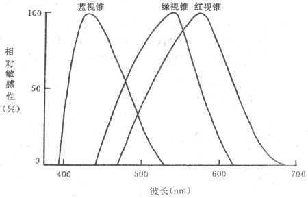 人视网膜中三种不同视锥细胞的光谱相对敏感性