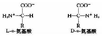L-α-氨基酸(L-α-amino acid)结构通式