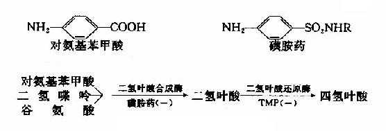 磺胺药物的抑菌作用