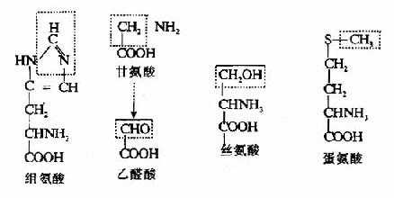 一碳单位的来源