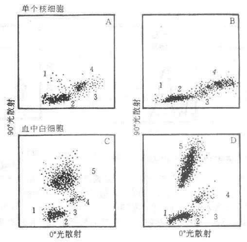 人的外周血白细胞分群的二维点图 