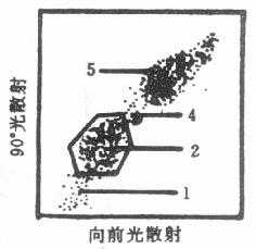  双指标点图上细胞的框定