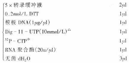 标记液 