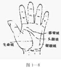 手诊中应用的褶纹