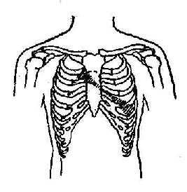 二尖瓣关闭不全及主动脉瓣狭窄收缩期杂音示意图