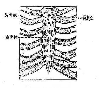 胸骨穿刺点