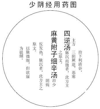 少阴经用药图
