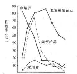 伤寒病程中各种试验阳性率