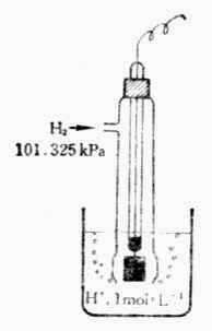 标准氢气电极