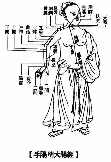 手阳明大肠经