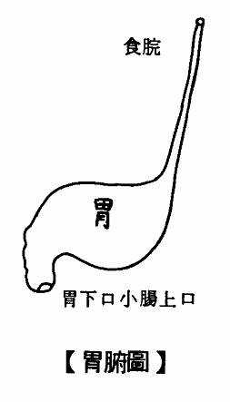 胃腑图
