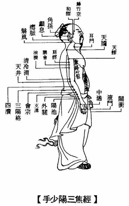 手少阳三焦经