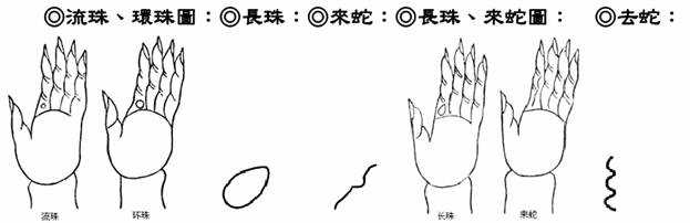 流珠、?h珠；?L珠、?砩撸蝗ド?D