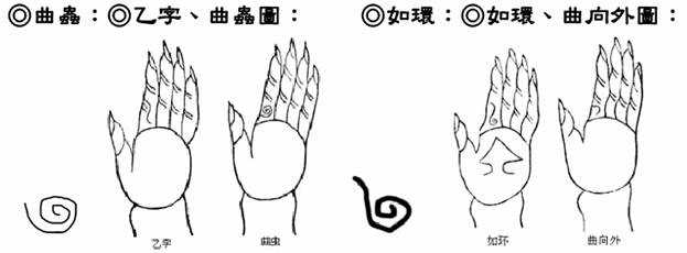 曲?x、乙字、曲?x?D；如?h、曲向外?D