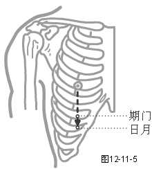 足少阳胆经穴