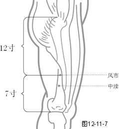 足少阳胆经穴