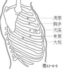 足太阴脾经穴
