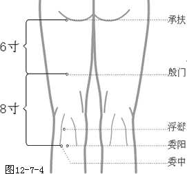 足太阴膀胱经穴