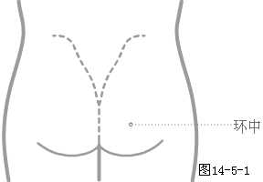 奇穴下肢穴