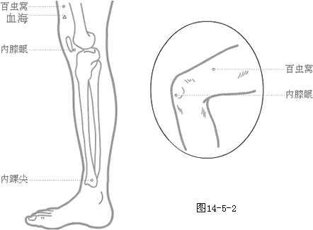 奇穴下肢穴