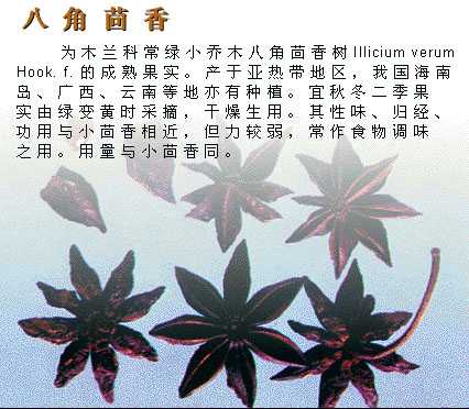 大茴香