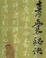 《青囊秘诀》在线阅读