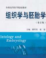 《组织学与胚胎学》在线阅读