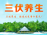 三伏养生专题