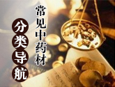常见中药材分类导航