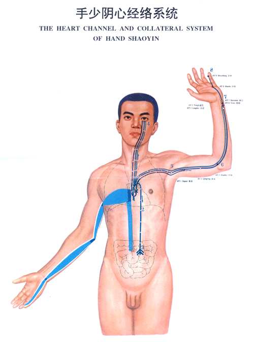 手少阴心<a href=http://www.ye8.net/zhongyiyao/zyxx/jl/087513C927I403K3BC1238F.html target=_blank>经络</a>系统图