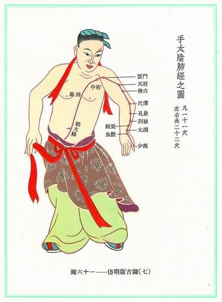手太阴肺经