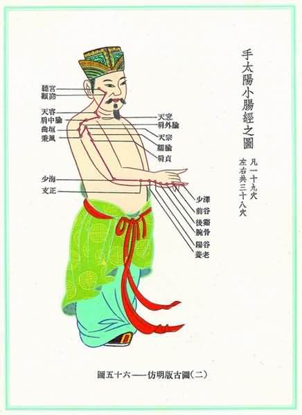 手太阳小肠经