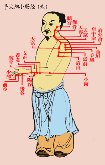 手太阳小肠经(未)