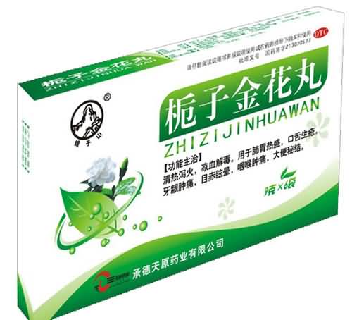 栀子金花丸 栀子金花丸
