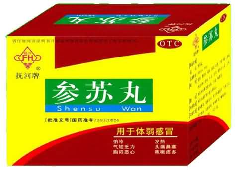 参苏丸 参苏丸
