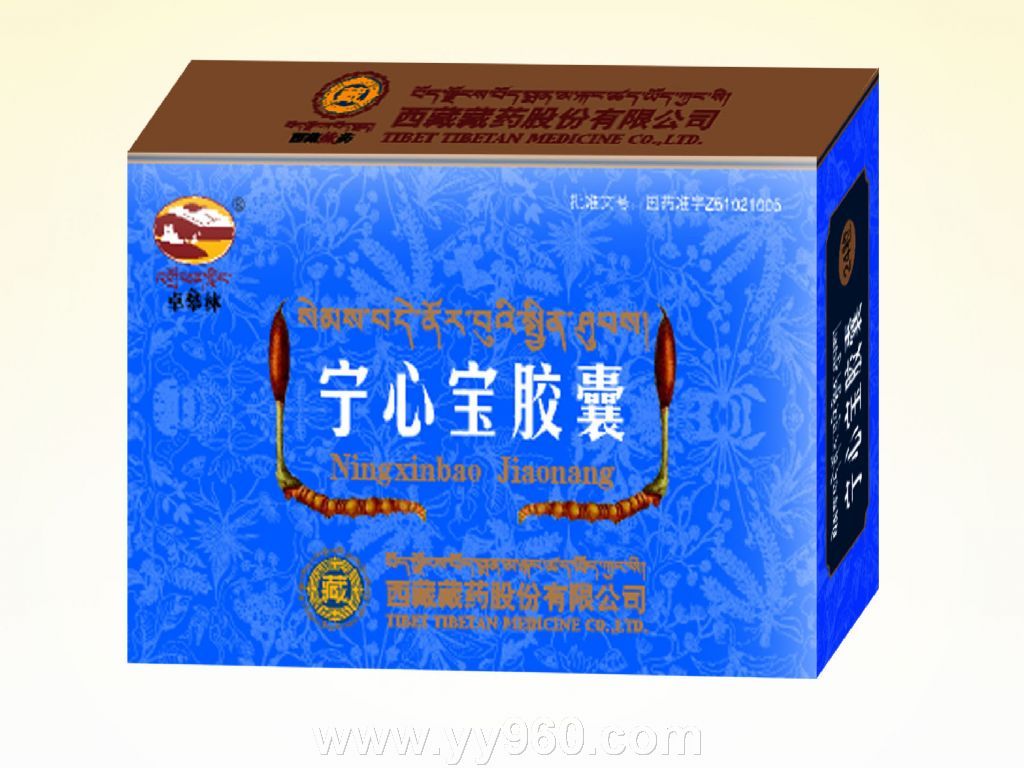 宁心宝胶囊 宁心宝胶囊