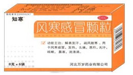 风热感冒颗粒