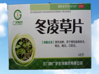 冬凌草片 冬凌草片