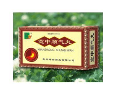 宽中顺气丸 宽中顺气丸