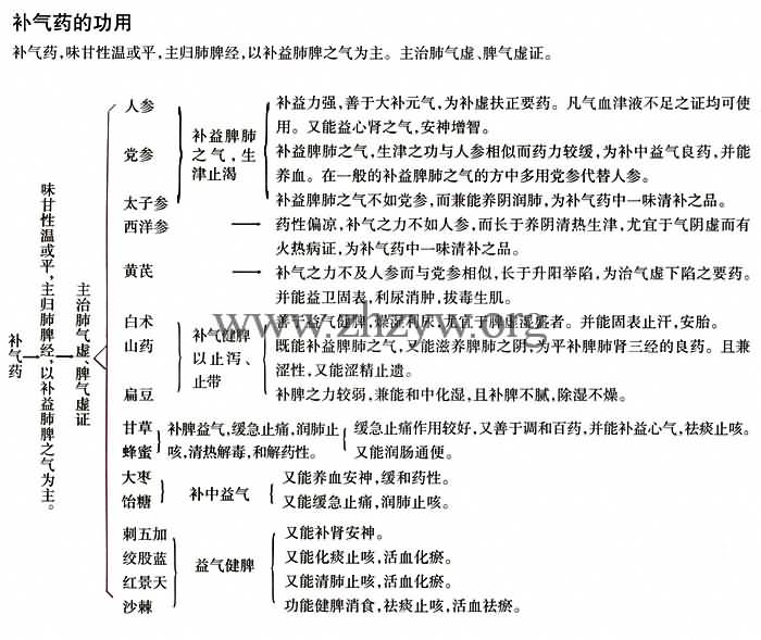 补气药的功用
