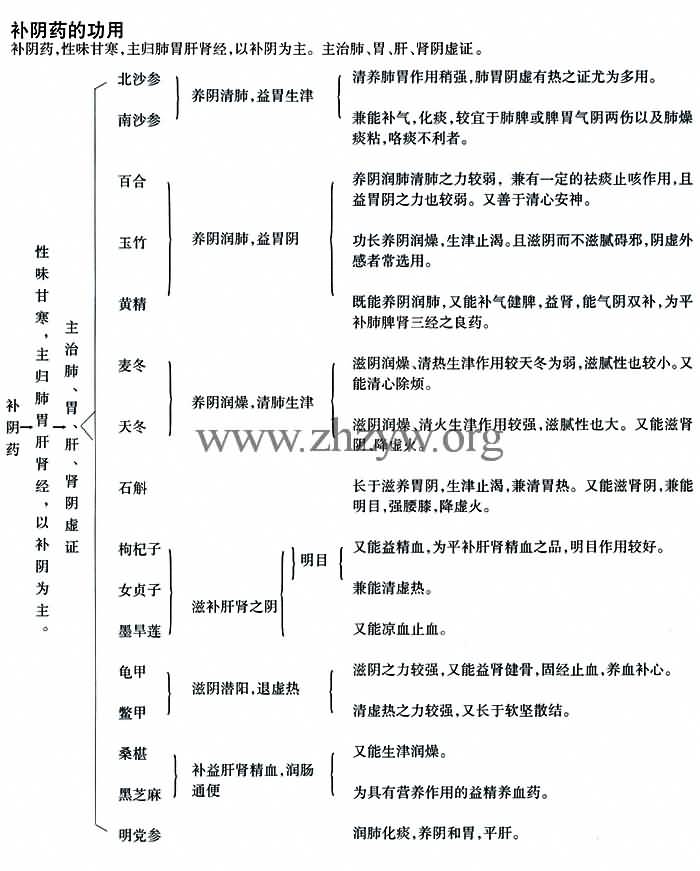 补阴药的功用