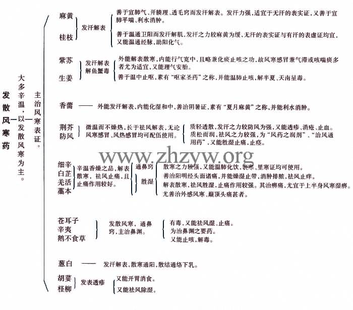 发散风寒药的功用