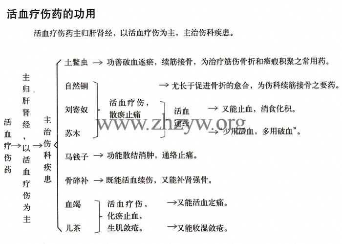 活血疗伤药的功用