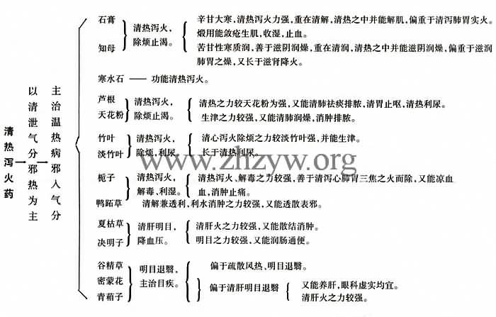 清热泻火药的功用