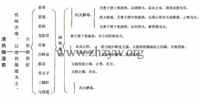清热燥湿药的功用