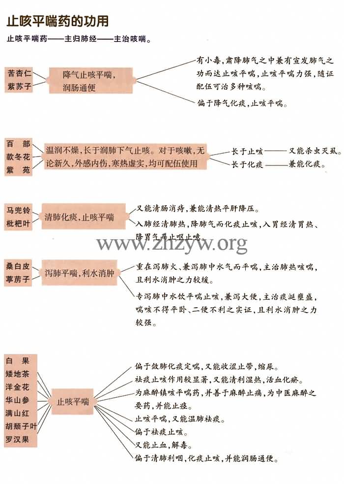 止咳平喘药的功用