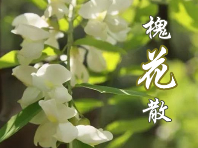 槐花散